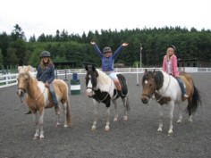 Horseback Riding San Juan Islands Horseback Riding